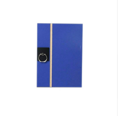 Phone Video Stand Amplifier (Video Stand Amplifier)